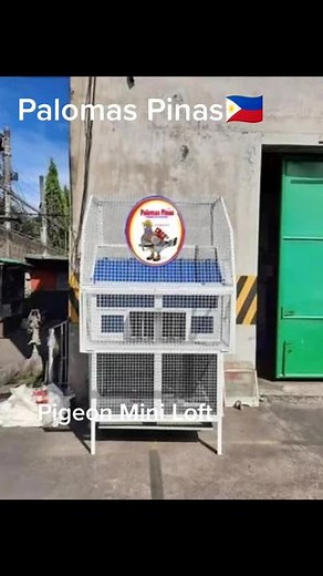 Pigeon Collapsible Loft With Accessories