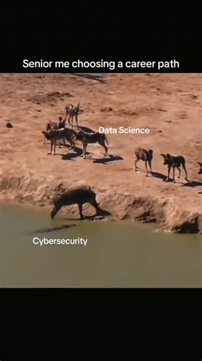 LetsDefend on Instagram: "This is the end…"