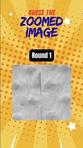 Can You Recognize This Object Up Close? #brainteasers #shorts