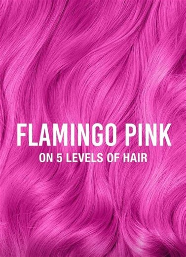 Punky Hair Colour on Instagram: "Flamingo Pink on 5 Levels of hair 🦩 Shop now on Punky.com and @amazon #punkyhaircolour #punkycolour #flamingopink #pinkhair #swatches #punkysemis #semipermanent #beforeandafter"