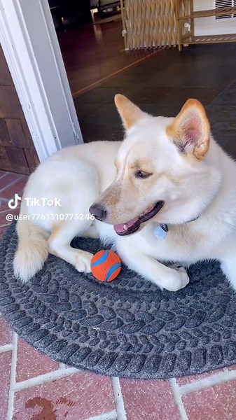 Zoymi & Ob1 (@candy_ob1)’s videos with original sound - Zoymi & Ob1