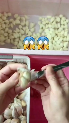 13K views · 17 reactions | LAZADA https://bit.ly/lazada-promo-sale SHOPEE https://bitly.group/0l0FIKeT | Big Discount | Facebook