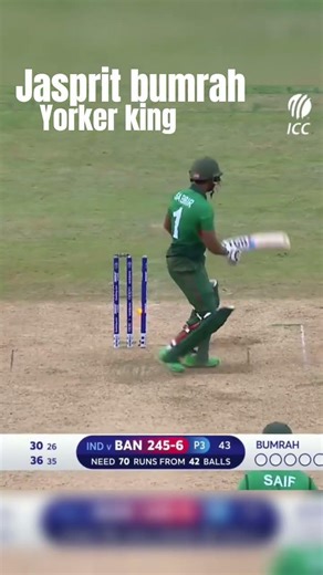 “Yorker King jasprit bumrah bowling action ”#bumarah #cricket #viral #trending #shortsfeed #popular