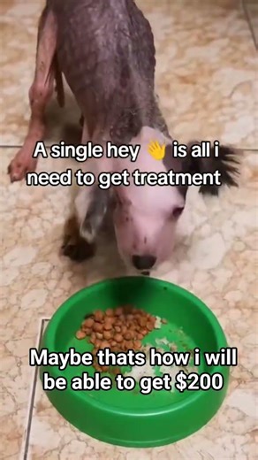 A single hi 👋 ,comment,share or donation can save this baby from this pain #helpinghumanity