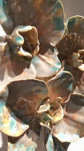 DEVON NGUYEN artist | BIOPHILIA NATURALIS Exshibition Dec 2024