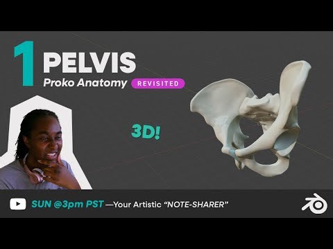 Proko Anatomy LIVE | Modeling the PELVIS in Blender: Step by Step (Real Time)