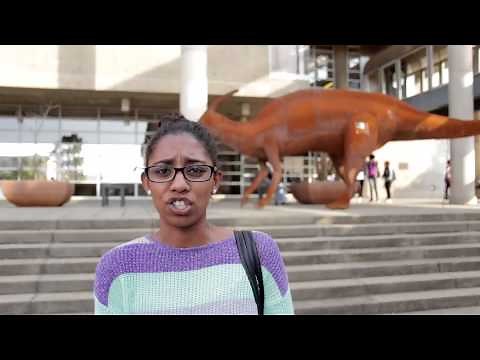 Polygamy in Africa documentary