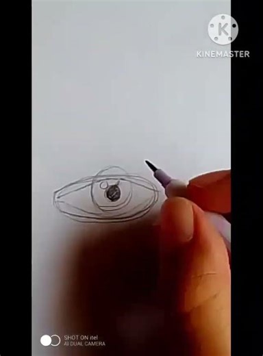 # eye structure # bigner