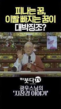 피나는 꿈, 이빨 빠지는 꿈이 대박징조? #광우스님 #꿈해몽 #비밀 #길몽 #흉몽 #코피꿈 #이빨빠지는꿈