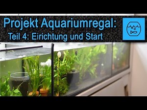 Project: New aquarium installation Part 04: The aquarium is being set up! Tank set up