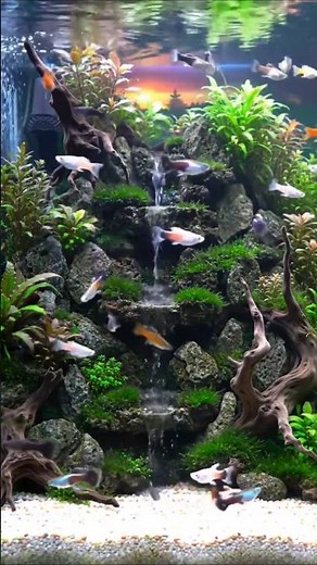 Peppa Pig: Underwater Adventure in the Aquarium!