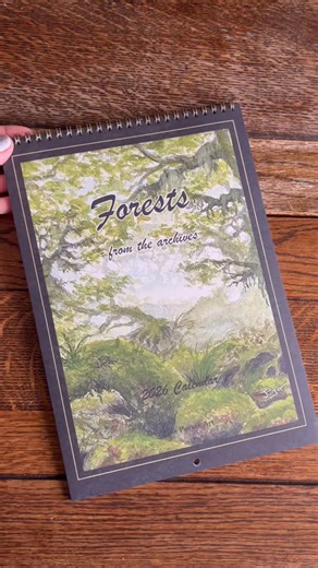 These aren’t your typical £10 calendars from the shops. Full A4 forest paintings (that you could frame after the year ends!), premium matte paper, antique gold spiral binding. Each month is a painting from my archives - only 20 printed for 2025. 🌲✨ #forestlovers #2026calendar #newyearnewme #woodlandsanctuary | Castle On The Hill