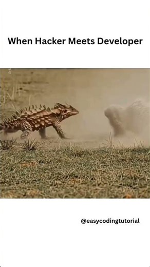 Hacker Tries to Flex… Developer: Sorry, I’m Your Dad 😎 #shorts