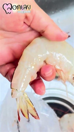 Prepping prawns for glass noodle shrimp เตรียมกุ้งสำหรับกุ้งอบวุ้นเส้น