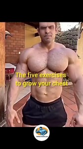 CHEST DAY: BUILD THAT THICK ARMOR PLATING Your chest is the centerpiece that makes or breaks your upper body development. Most people think chest training is just about going heavy on bench press. Your chest has multiple fiber directions that need different rep ranges to fully develop. For maximum chest growth, here's what actually works: Lower chest movements: 4 sets of 8-10 reps - Go heavy here, this is your strength foundation Upper chest angles: 4 sets of 10-12 reps - Focus on controlled mov