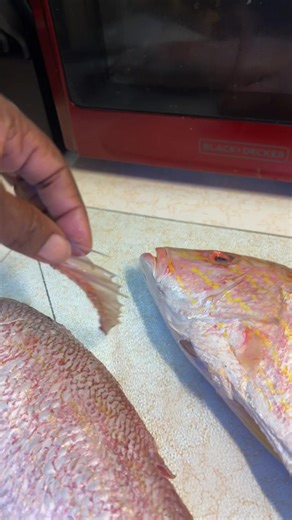 Cooking red snapper