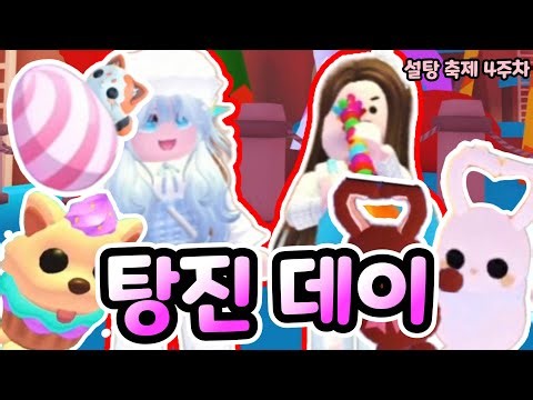 입양하세요 설탕 축제 업데이트 4주차🍫 | 에그 탕진 데이! [로블록스]