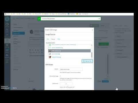 Embed image in Canvas Discussion
