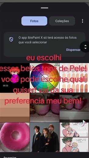 nome do app:ibi paint