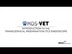 Introduction to the Transcervical Insemination (TCI) Endoscope