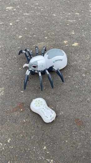 Best 1 ta Rc remote control spider wala unboxing😍#shortsfeed #spider #trending