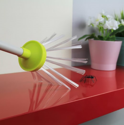 9 best spider catchers to safely capture the creepy crawlies