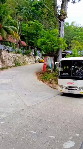 Bridge in loay bohol town #reelstrending #reelschallenge #boholtours #hightlights #brigeinloayboholtown | Dhodz Pangan Vlog