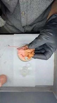 Electroforming Cleaning And Polishing Process Of Geode Composition Project Copper Plated