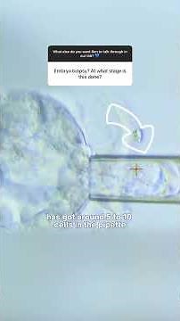 How is an embryo biopsy performed? 🧐