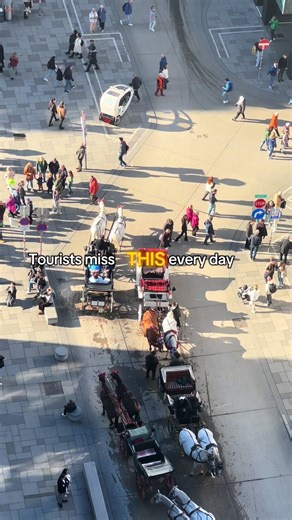 The view from St. Stephen’s Cathedral comes from its two towers. Climb the Südturm for a classic panoramic view, or take the elevator to the Nordturm for a different perspective over Vienna. From above, the city unfolds — red rooftops, narrow streets, and endless skyline. 🏰 Stephansdom – Südturm & Nordturm #view #Austria #travel #wien #vienna