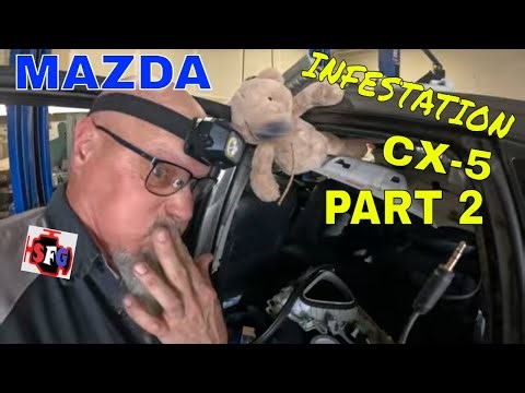 Mazda Infestation CX 5 Part 2