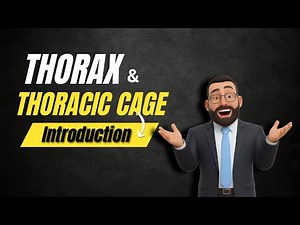 Introduction to Thorax Anatomy: Boundaries, Contents & clinical importance | BD Chaurasia Anatomy