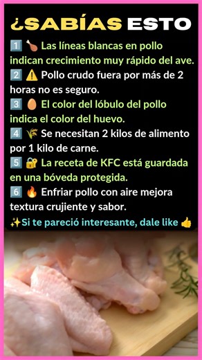 6 SECRETOS DEL POLLO QUE NADIE TE CUENTA 🍗😱 ¿SABÍAS ESTO?