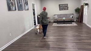 28 reactions | Sit in on our full drop-off process with a new client!...