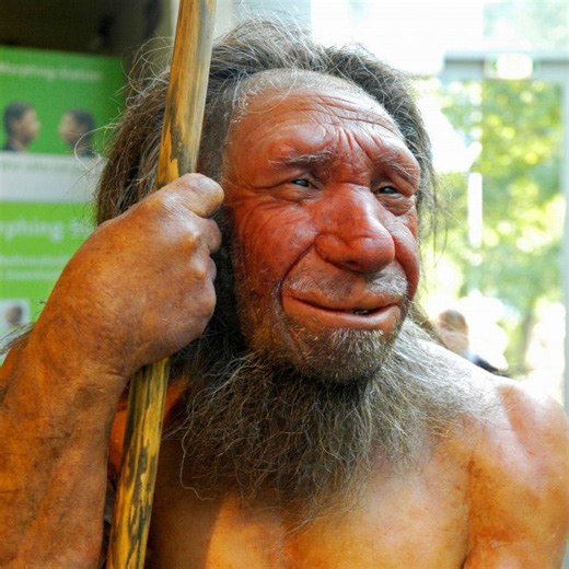 Menschliche Vorfahren waren möglicherweise Kannibalen