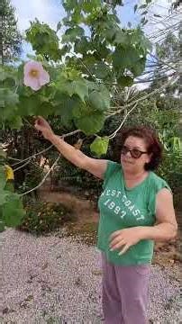 One color in the morning and another in the afternoon—have you ever seen this flower before?