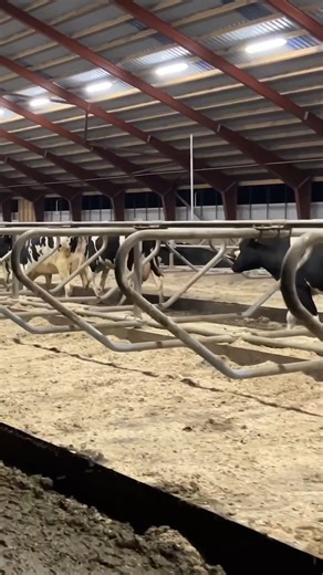 Santa’s Farm. Farmer Clean Manure | Farm Factory