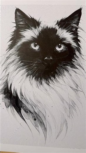 DIY drawing machine like no others #scribi