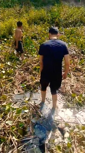 🎣🎣🎣##fishing##villagelife##desi##ajjubhai##trending##viral##youtubeshorts