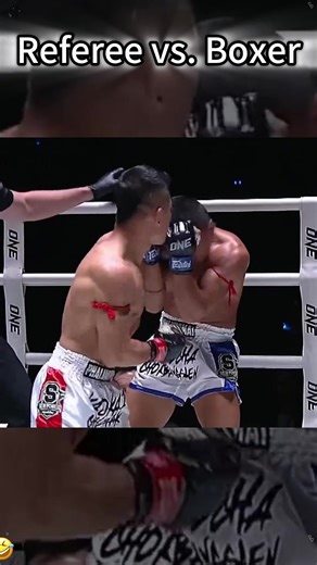 Referee vs Boxer#ufc #referee #fighter #usa #mma