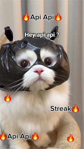 Streak Reminder with API Techniques