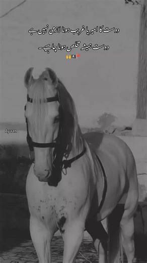 Inspiring Poetry Quotes for Every Occasion