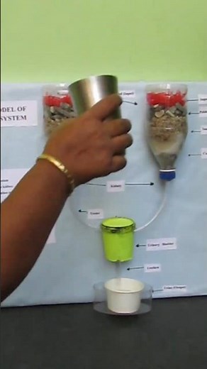 Human Excretory System Working Model 😲💧 | Water Filtration Project