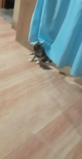 #Playing #highlight #everyoneシ゚viralシviralシfypシ゚viralシalシ #followersandveiwers | Ding Java Montalaba | Facebook