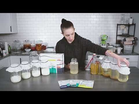 How to Maintain Water Kefir Grains | Step by Step Guide