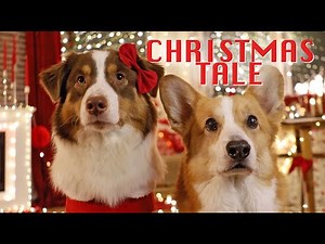 FIRST CHRISTMAS TOGETHER - Topi the Corgi