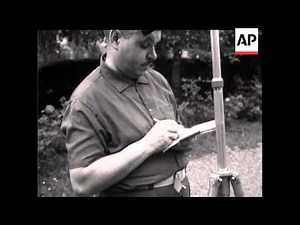 THE STORKS - NO SOUND