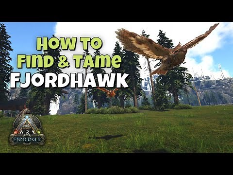 How to Find and Tame the Fjordhawk | Ark Fjordur