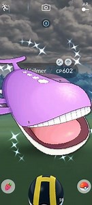 Getting Lucky With ✨Shiny Wailord in #pokemongo