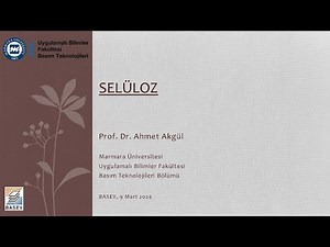 Matbaacının Kağıt Ve Karton Hakkında Bilmesi Gerekenler I Bölüm 1 Selüloz Nedir?
